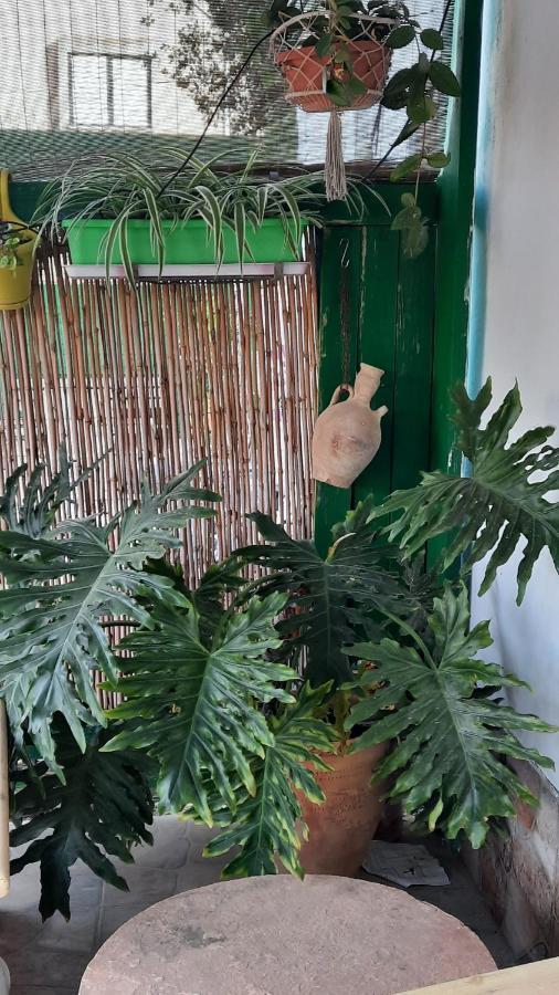 הבית הירוק - Green House Arad Exteriér fotografie